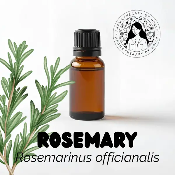 Rosemary Essential Oil 10ml –  Rosemarinus officinalis