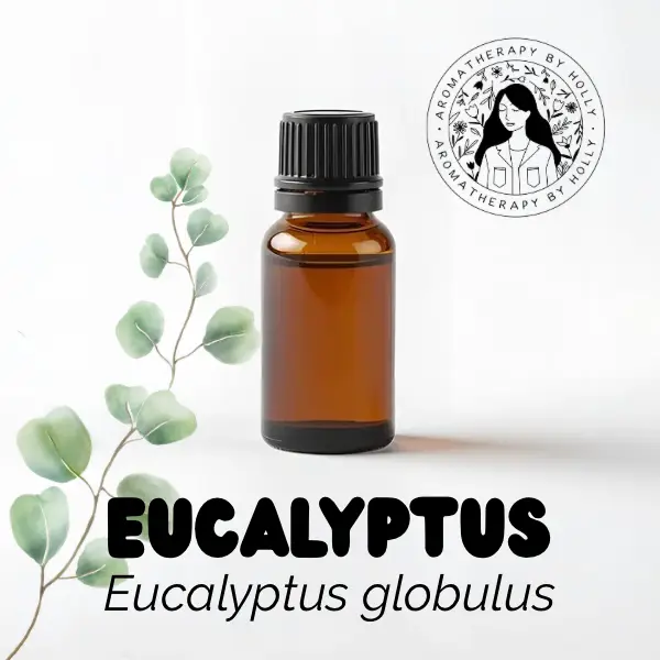 Eucalyptus Essential Oil 10ml – Eucalyptus globulus